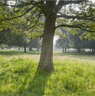 National Trust Image by Chris Lacey